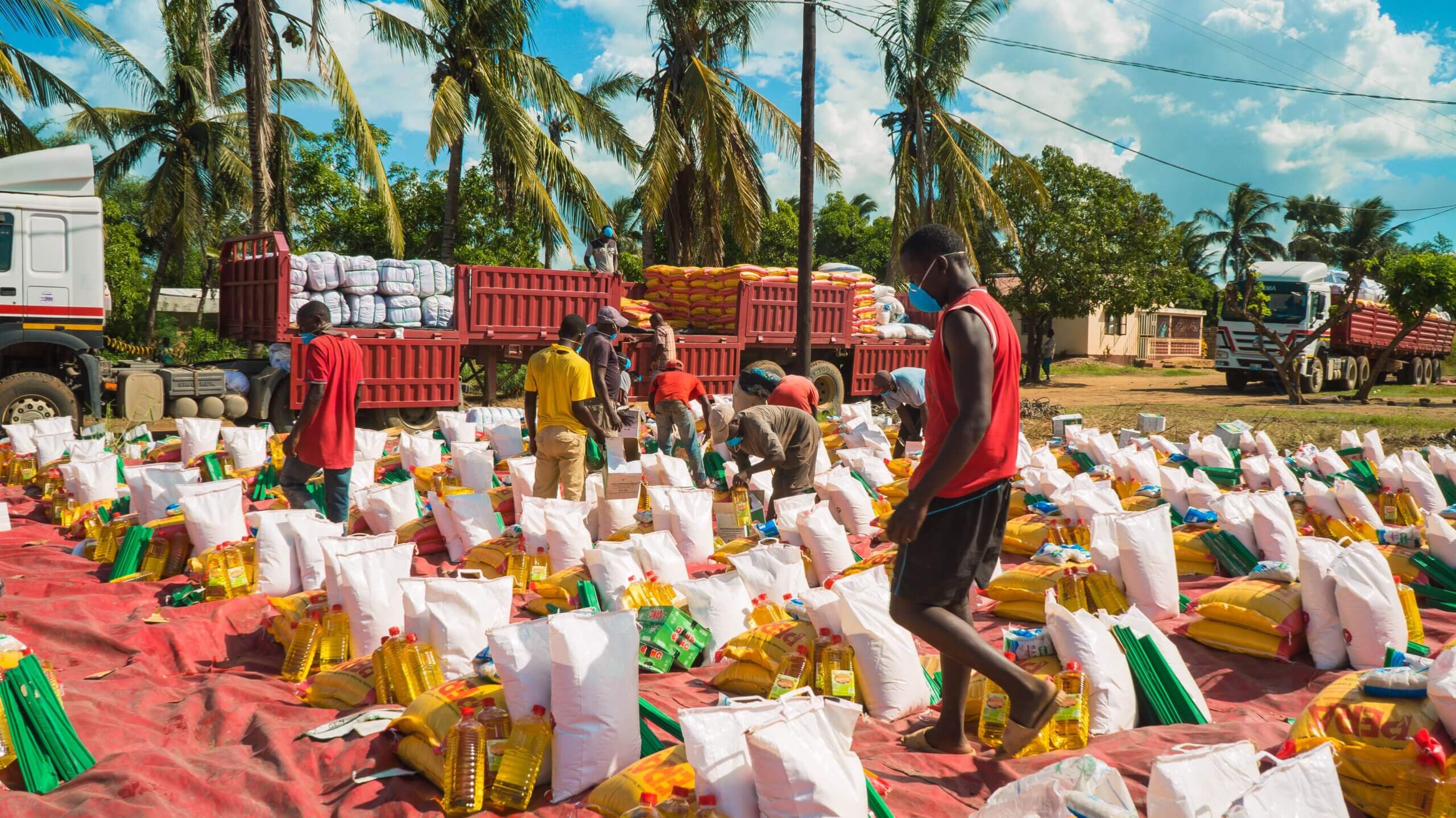 SIRA — Outil numérique d'évaluation piloté par des personnes handicapées pour les crises humanitaires au Mozambique